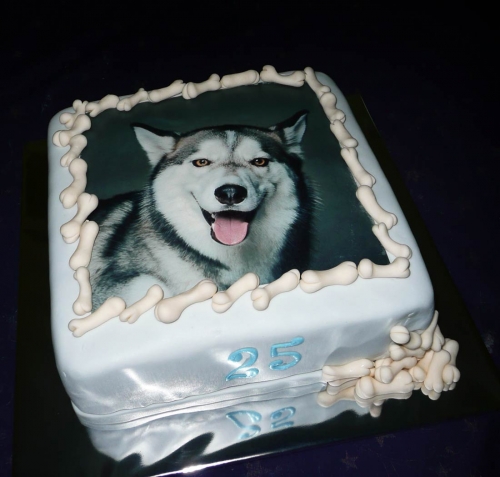 Jedlé obrazky na torty » Torta Pes Husky