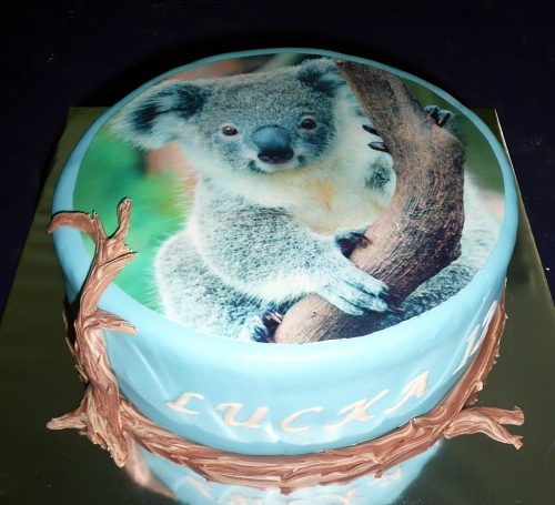 Jedlé obrazky na torty » Torta Koala jedlý obrázok