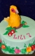 Torty » Torta Papagáj arara